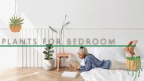 Keeping These 8 Plants In Your Bedroom Can Improve Your Health