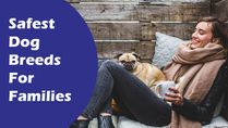 Love Pets? Here's A List Of Safest Dog Breeds Ideal For Kids And Families