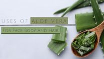 13 Uses Of Aloe Vera For Face, Body And Hair; How To Extract Aloe Vera Gel?