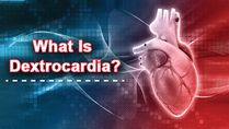 Can A Person Live With Dextrocardia? Causes, Symptoms And Treatments For This Rare Congenital Condition