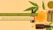 High-potency Cannabis Use Increases The Risk Of Psychosis And Addiction; Study