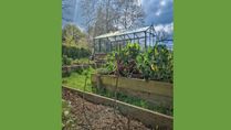 How To Create A Kitchen Garden: 6 Design Tips From Expert