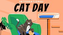 International Cat Day: Myths About Cats You Need To Stop Believing