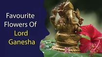Ganesh Chaturthi 2022: Flowers Used To Please Lord Ganesha