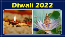 Diwali 2022: Goddess Lakshmi Forms To Worship According To Your Zodiac Sign