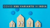 COVID XBB Variants Of Omicron In India: What You Should Know