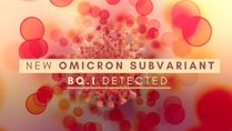 New Omicron Subvariant BQ.1 Detected In Maharashtra: What You Should Know