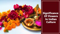 Significance Of Flowers In Indian Culture And Pooja Rituals: What Makes Them So Important