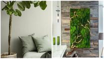 6 Best Ideas To Decorate With Greenery In Your Home