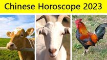 Chinese Horoscope 2023: Find Out What Is In Store For You This Chinese Year