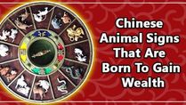 Three Chinese Zodiac Animal Signs That Are Born To Gain Wealth: Are You One Of Them?