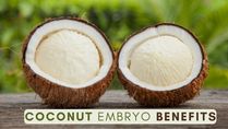 Coconut Embryo Benefits: 8 Reasons Why You Should Start Eating This Super Food!