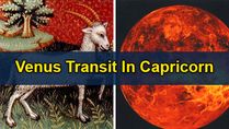 Venus Transit in Capricorn on 29 December 2022 Effects And Remedies On 12 Zodiac Signs