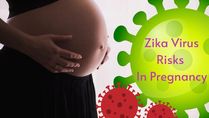 Exclusive: How To Know About Zika Virus Risks In Pregnancy And What Can Lead To Miscarriage