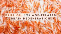 Krill Oil For Age-related Brain Degeneration: Is It Effective?