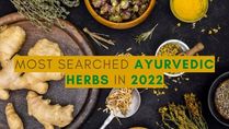 Year Ender 2022: Most Searched Ayurvedic Herbs In 2022 And Their Uses