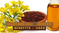Benefits & Uses Of Mustard Oil In Winter: Check Several Health Benefits And Ways To Use It
