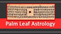 The Mystique Of Nadi Grantha That Uses Palm Leaves To Predict Past Present And Future