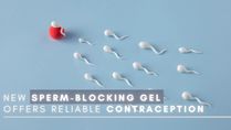 New Sperm-Blocking Gel Offers Reliable Contraception; An Alternative To Hormonal Birth Control