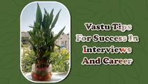Invaluable Vastu Tips For Success In Interviews And Career