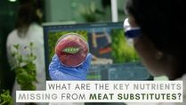What Are The Key Nutrients Missing From Meat Substitutes?