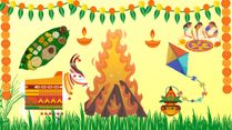 Lohri, Pongal, And Makar Sankranti 2023: Significance And Festive Foods