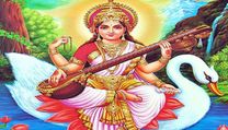 Why Is Yellow Colour Used Extensively During Vasant Panchami