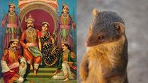 How The Pandava Prince Yudhishthira Was Humbled By A Small Mongoose