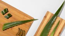Summer Skincare: How To Use Aloe Vera For Calming Your Skin In Summer