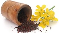 Mustard Flower And Its Exotic Benefits