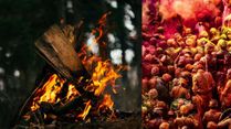 Holika Dahan 2023: Chhoti Holi Wishes, Images, Quotes, Greetings, Whatsapp Status Messages