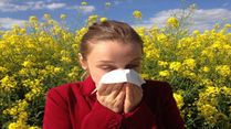 How To Manage Seasonal Allergies During Summer And Prevent Flare-ups