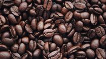Does Drinking Coffee Increase Your Risk Of Kidney Stones? How Much Coffee Is Good For Kidney Stones?
