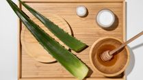 5 Ways To Use Aloe Vera For Sunburn