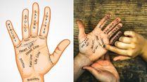 Palmistry: Shape Of Your Hands Reveal Your Personality Traits