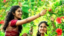 How To Pluck Flowers For Puja For Best Benefits