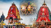 Jagannath Rath Yatra 2023: Interesting Facts About The Rath Yatra Chariots