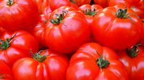 Tomatoes Are Expensive? Try These 10 Alternatives
