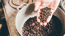 Coffee Grounds for Skin Care: A Natural Exfoliator and Antioxidant