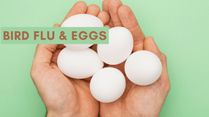 Bird Flu And Eggs: What You Need To Know For Safe Consumption