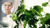 Coriander Leaves For A Natural Skin Glow: Try These 3 Effective Methods