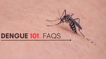 Dengue Fever FAQ: Everything You Need To Know About The Disease