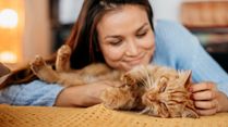 International Cat Day 2023: Did You Know That Cat Purring Can Benefit Your Health? Check Out How!