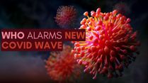 Eris Variant: WHO Alarms New Covid Wave; Should India Be Concerned About This Pandemic
