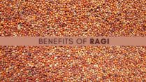 Ragi: The Indian Supergrain Fighting Diabetes And Keeping Blood Sugar In Control