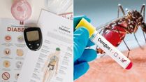 Diabetes And Dengue In India: What Can Diabetic Individuals Do To Prevent Dengue?