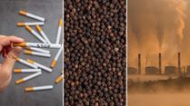 Can Adding Pepper To Your Diet Help Reduce Cigarette Smoke Risk And Pollution?