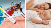 Infant Care During Dengue Fever: Keeping Your Baby Safe in Mosquito Season