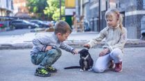 Importance Of Educating Children About How To Interact With Dogs Responsibly And Safely