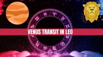 Venus Transit In Leo On 02 October 2023: Effect On 12 Zodiac Signs